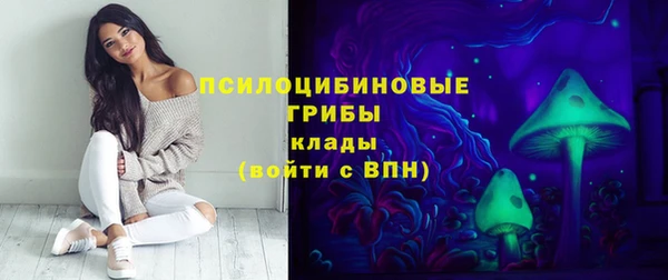 крисы Володарск