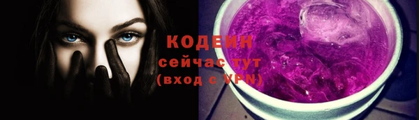 крисы Верхний Тагил