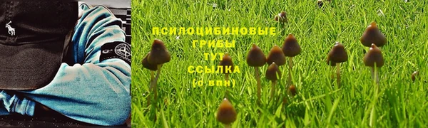ECSTASY Волоколамск