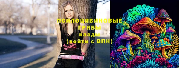 2c-b Верея