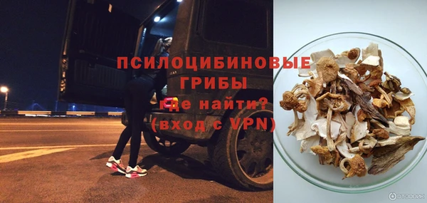 трава Верхнеуральск