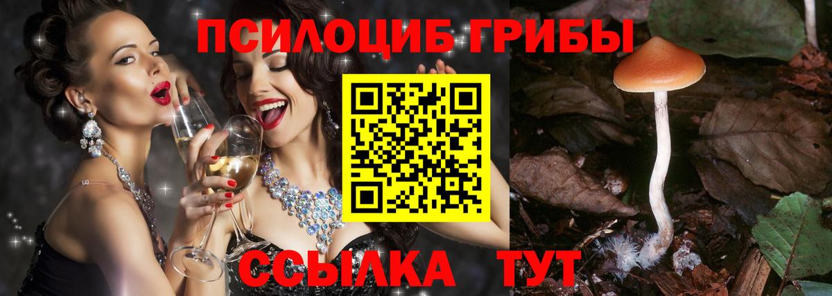 Галлюциногенные грибы Cubensis  Воркута  Галлюциногенные грибы мухоморы 