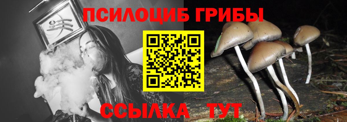 Псилоцибиновые грибы ЛСД  Вход с VPN  Воркута 