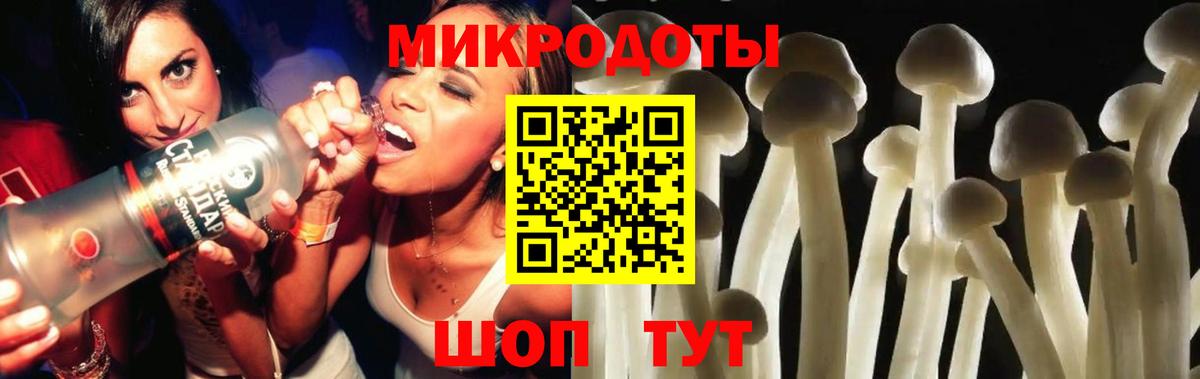 Псилоцибиновые грибы мухоморы Воркута